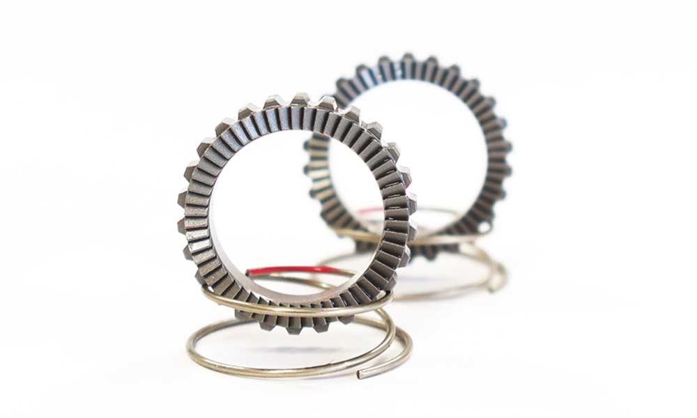 FFWD RATCHET/SPRING KIT