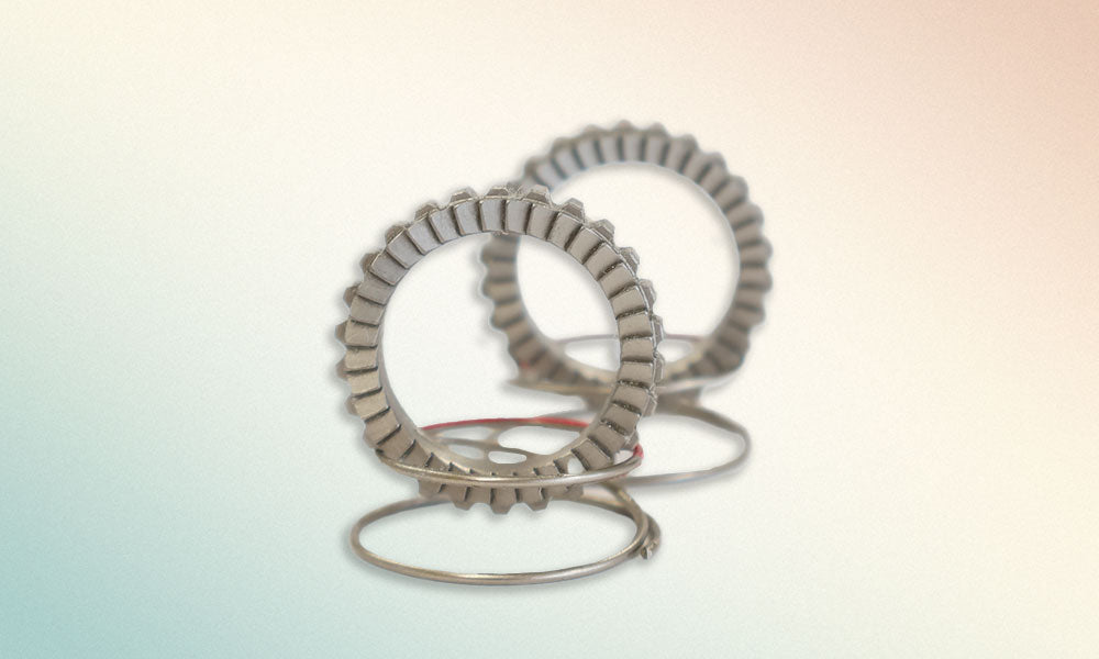 FFWD RATCHET/SPRING SET